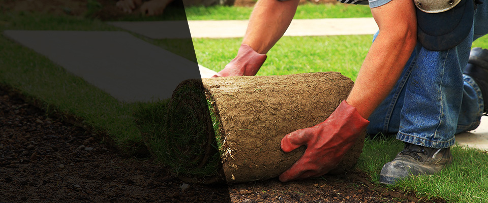 Ankeny Landscapers